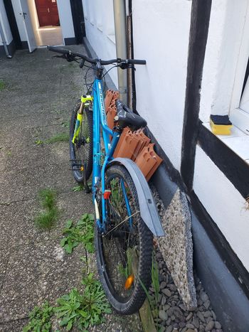 Used BULLS Sharptail 3 Disc 29 2023 2023 Mountainbike — image 2 of 6