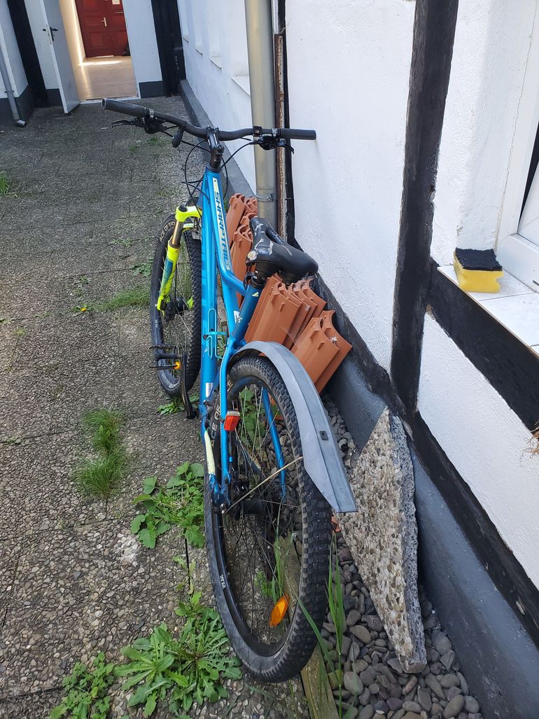 Used BULLS Sharptail 3 Disc 29 2023 2023 Mountainbike — image 2 of 6