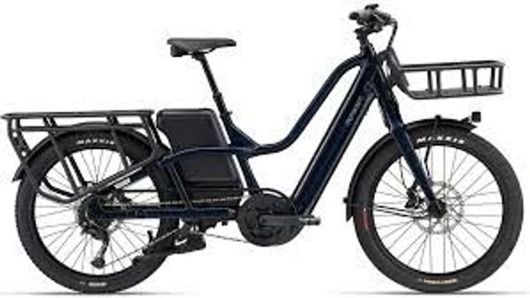 Momentum Momentum PakYak Cargo E-Bike One Size 2023