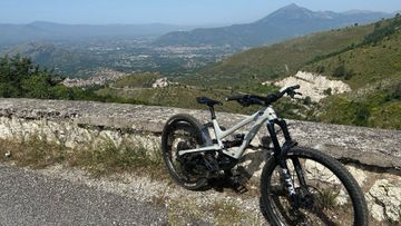 Used YT Industries Capra SRAM GX Eagle 2021 Mountainbike, Light Gray, 29 — image 7 of 7