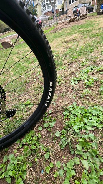 Used Scott Genius 910 2022 2022 Mountainbike, Black, 29 — image 10 of 12