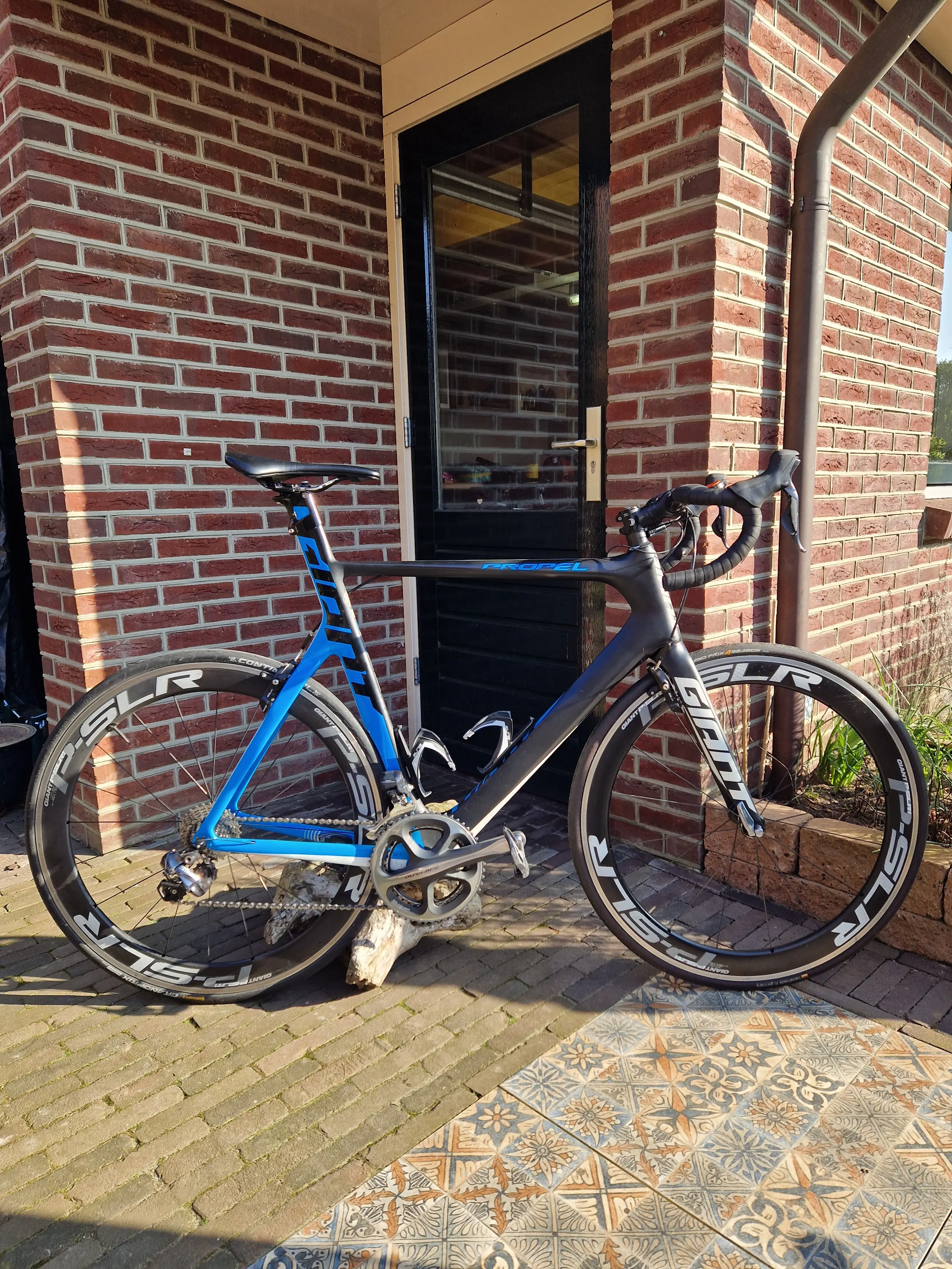 Giant propel online 2013