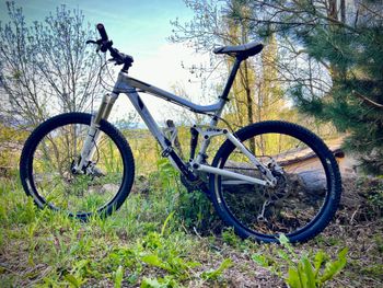 Used Trek Fuel EX 6 2011 2011 Mountainbike, Light Gray, 26 — image 5 of 5