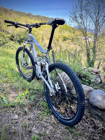 Used Trek Fuel EX 6 2011 2011 Mountainbike, Light Gray, 26 — image 4 of 5