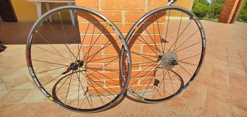 SCAPIN Blake 12k 2015 Road & Gravel usato, Bianco — immagine 4 di 5