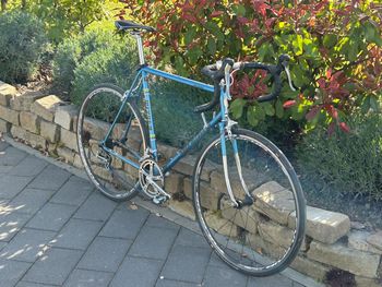 Used Koga Miyata 1984 Road & Gravel — image 3 of 4