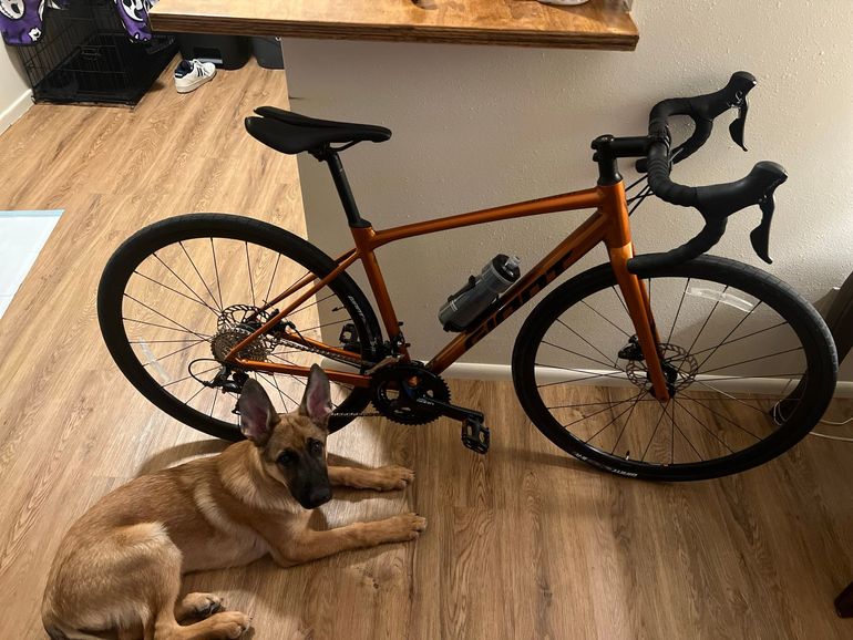 Used Giant Contend AR 3 2025 2025 Road & Gravel, Orange — image 8 of 9