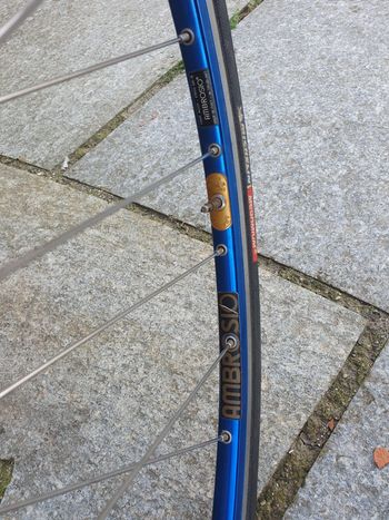 Used Pinarello Montello 1983 Road & Gravel, Azul — image 8 of 17
