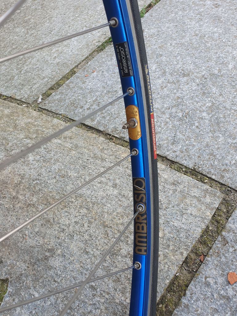Used Pinarello Montello 1983 Road & Gravel, Azul — image 8 of 17