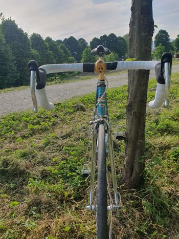 Used Pinarello Montello 1983 Road & Gravel, Azul — image 2 of 17