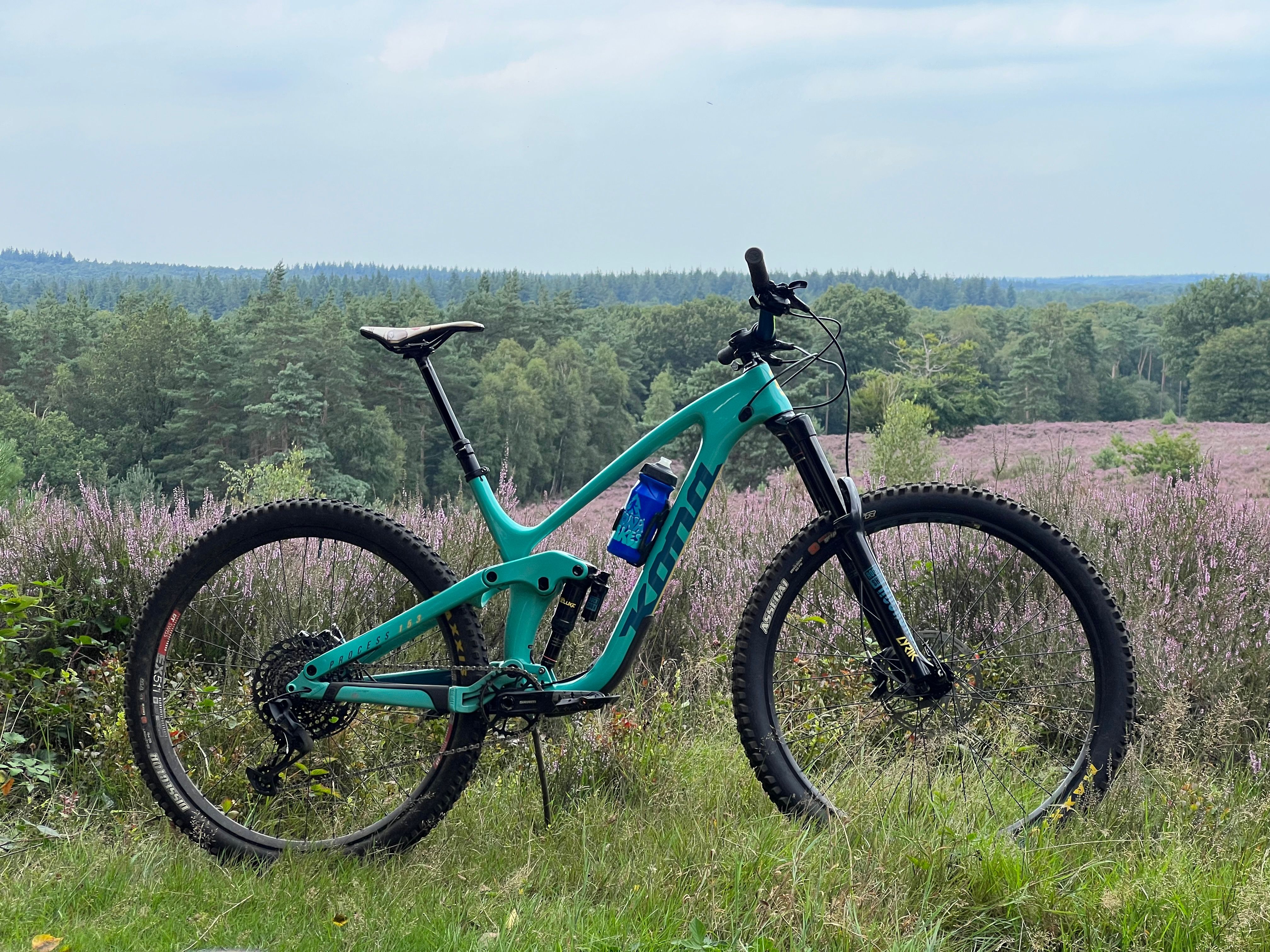 Dl 29 Process 153 Cr Cr Dl 29 Kona Process 153 Frame Process 153 Cr Dl