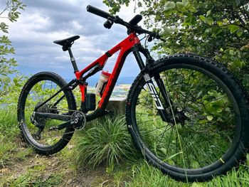 Used ROCKRIDER Race 940 S LDT 2024 Mountainbike, Rot — image 3 of 3
