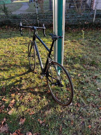 Used Specialized Allez Elite 2019 2019 Road & Gravel, Black — image 2 of 12