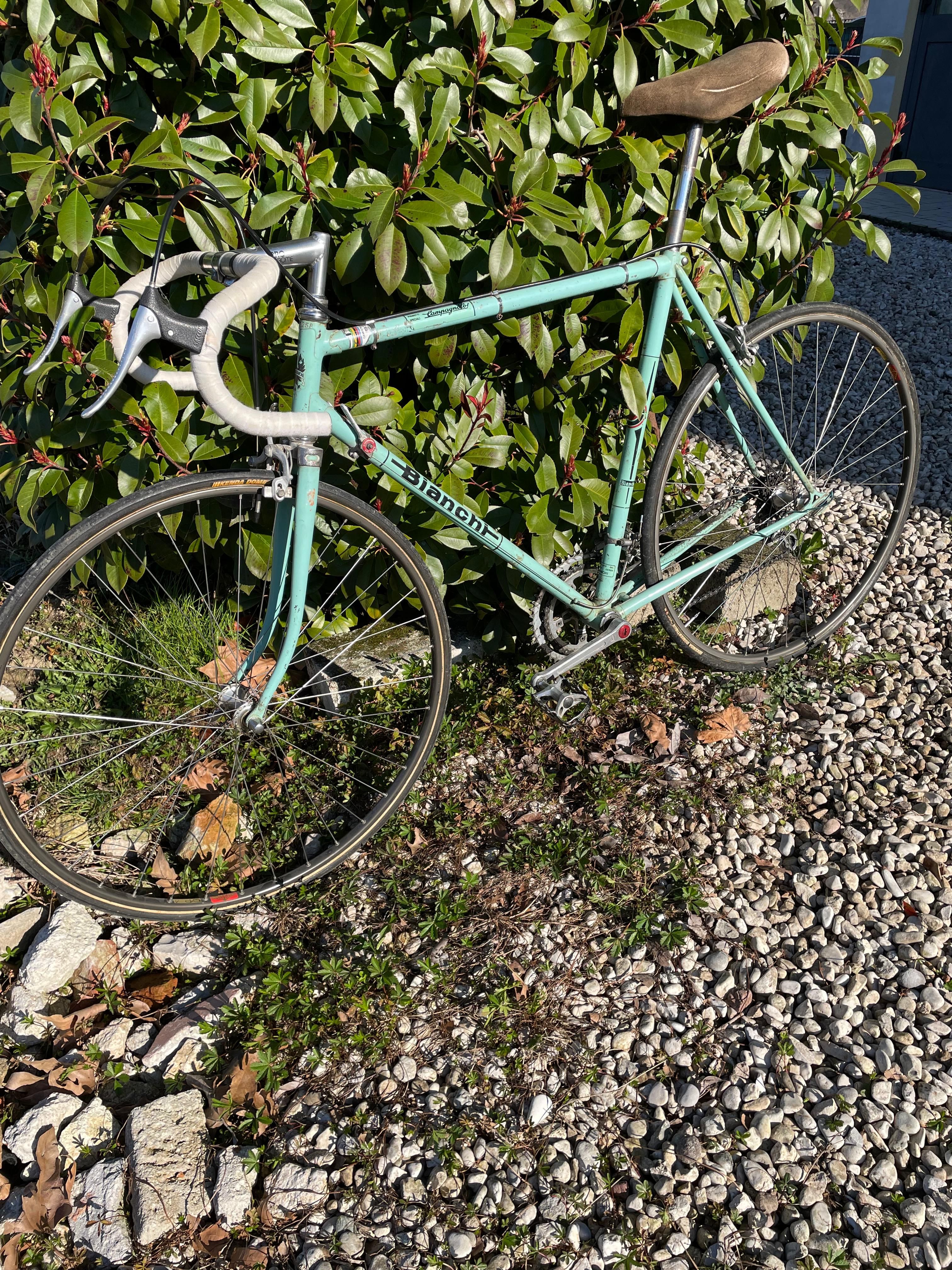 Bianchi campione del mondo 1986-1987 自転車 【公式通販】