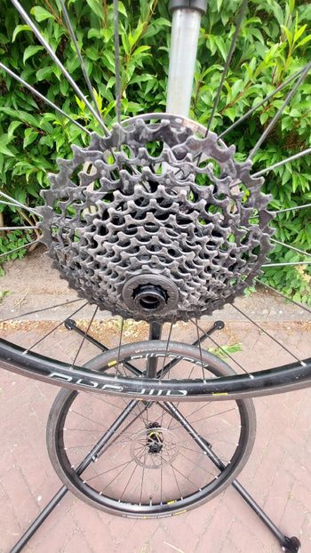 Used Koga Colmaro SRAM Rival 2022 Road & Gravel, Green — image 13 of 19