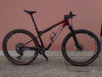 Used Specialized Epic World Cup 2024 MTB