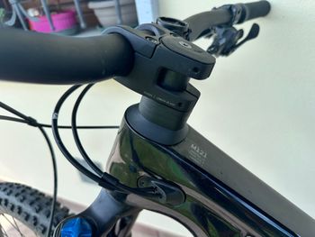 Canyon Spectral 29 CF 8 2021 2021 Mountainbike usato, Nero — immagine 4 di 14