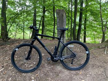Used Rose Multisport 2 2021 Road & Gravel, Black — image 1 of 6