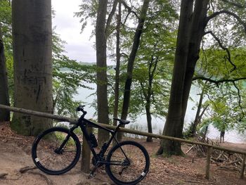 Used Rose Multisport 2 2021 Road & Gravel, Black — image 4 of 6