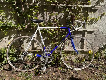 Použité Meral 1986 1986 Road & Gravel — obrázek 19 z 19