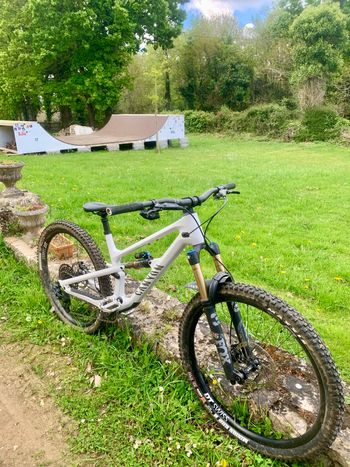 Used Canyon Spectral 125 CF 9 2023 2023 Mountainbike, White, 29 — image 3 of 4