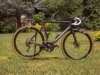 Used Megamo PULSE ELITE 20 2022 2022 Road & Gravel