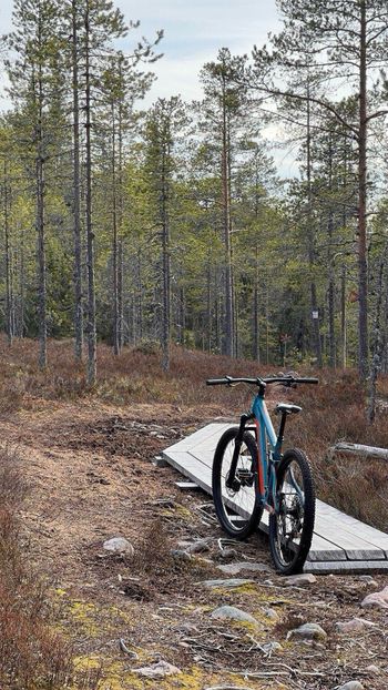 Used Ghost Kato FS Universal 2024 2024 Mountainbike, Blue, 29 — image 2 of 5