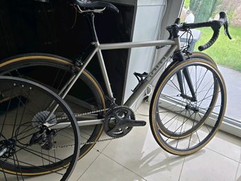 Used Stelbel Stelbel Antenore XCr StainlessSteel 2022 Road & Gravel, Light Gray — image 19 of 22