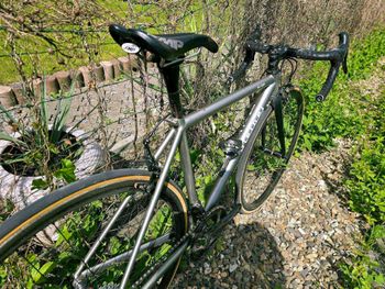 Used Stelbel Stelbel Antenore XCr StainlessSteel 2022 Road & Gravel, Light Gray — image 16 of 22