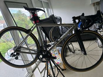Used Stelbel Stelbel Antenore XCr StainlessSteel 2022 Road & Gravel, Light Gray — image 5 of 22
