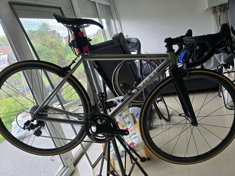 Used Stelbel Stelbel Antenore XCr StainlessSteel 2022 Road & Gravel, Light Gray — image 5 of 22