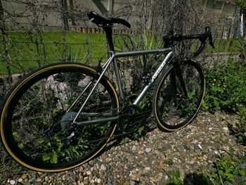 Used Stelbel Stelbel Antenore XCr StainlessSteel 2022 Road & Gravel, Light Gray — image 3 of 22