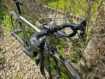 Used Stelbel Stelbel Antenore XCr StainlessSteel 2022 Road & Gravel, Light Gray — image 14 of 22