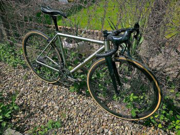 Used Stelbel Stelbel Antenore XCr StainlessSteel 2022 Road & Gravel, Light Gray — image 20 of 22