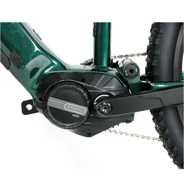 Used Xtracycle 2023 2023 Mountainbike, Green — image 2 of 5