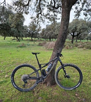 Used Orbea OIZ M30 2024 2024 Mountainbike, Green, 29 — image 1 of 3