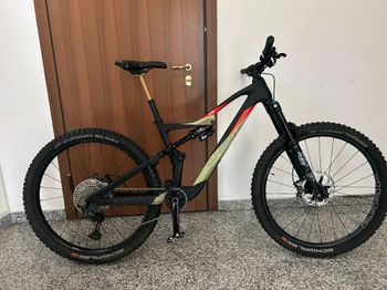 Used Whistle CHEYENNE 2024 Mountainbike, Black — image 1 of 8