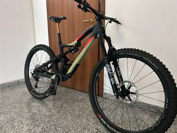 Used Whistle CHEYENNE 2024 Mountainbike, Black — image 2 of 8