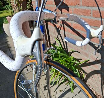 Used Pinarello Catena Lusso 1986 Road & Gravel — image 8 of 24