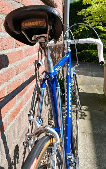 Used Pinarello Catena Lusso 1986 Road & Gravel — image 15 of 24