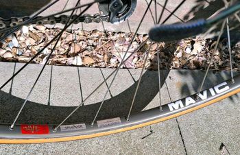Used Pinarello Catena Lusso 1986 Road & Gravel — image 20 of 24