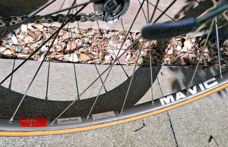 Used Pinarello Catena Lusso 1986 Road & Gravel — image 20 of 24