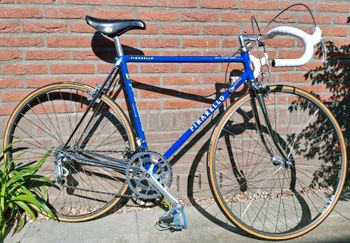 Used Pinarello Catena Lusso 1986 Road & Gravel — image 23 of 24