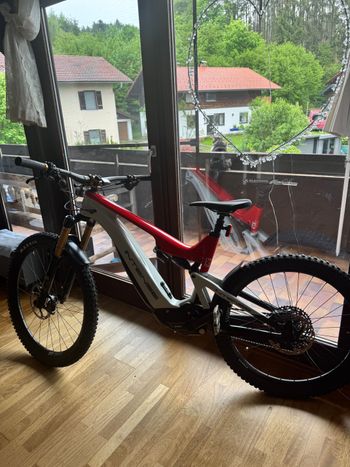 Intense, TAZER FOX PRO 2023