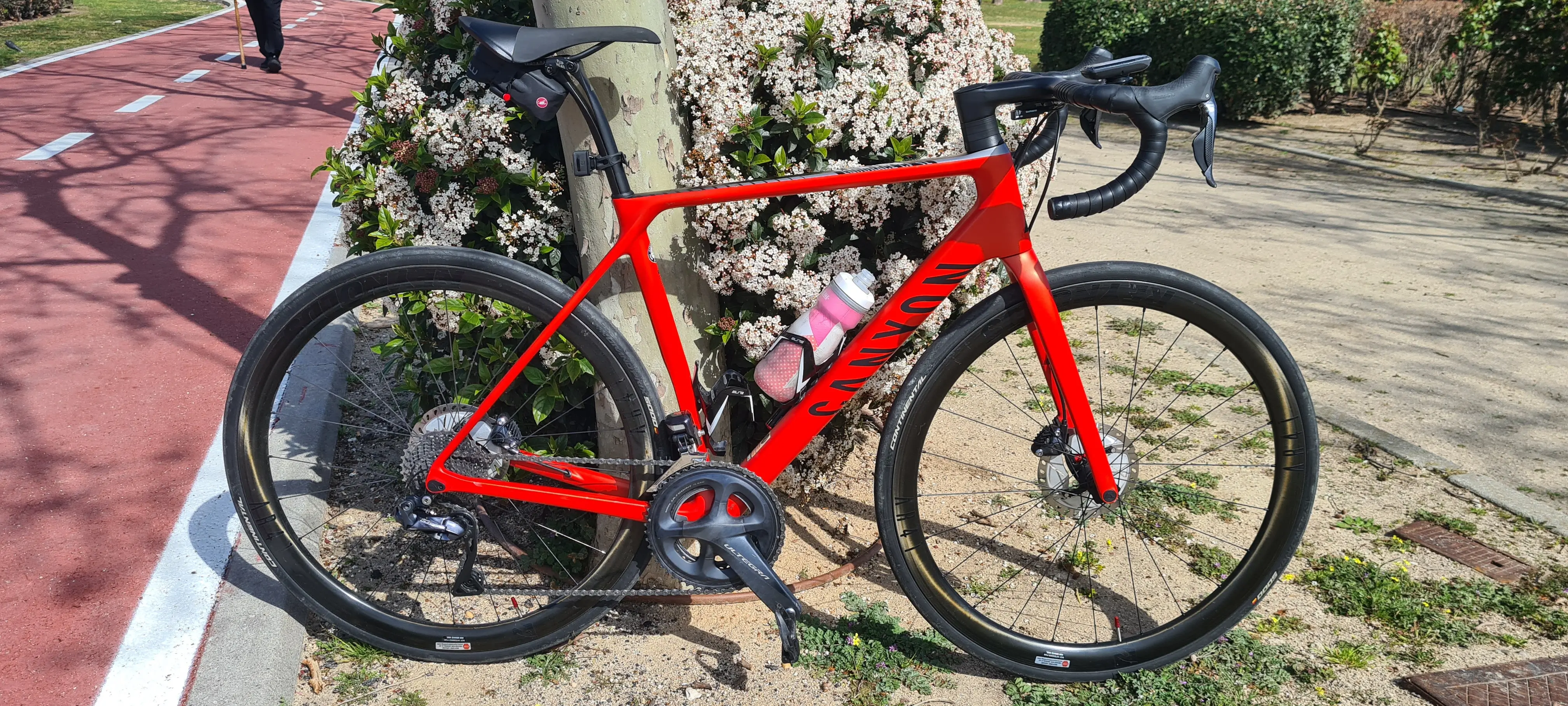 Endurace cf sl cheap disc 8.0 aero 2019