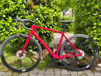 Używany Focus Paralane 9.9 2020 2020 Road & Gravel — zdjęcie 2 z 7
