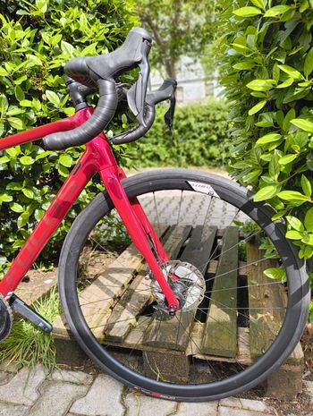 Używany Focus Paralane 9.9 2020 2020 Road & Gravel — zdjęcie 4 z 7