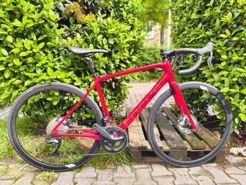 Used Focus Paralane 9.9 2020 2020 Road & Gravel