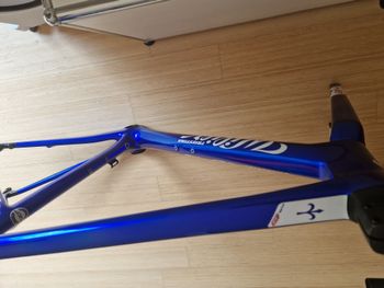 Used Wilier SLR Frameset 2022 Road & Gravel, Blue — image 9 of 22