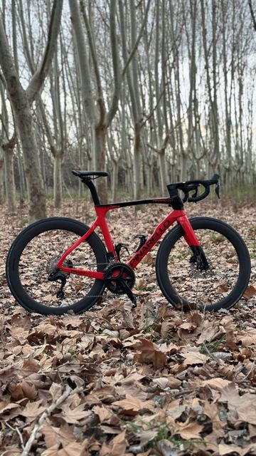 Brugt Pinarello Prince Disk 105 Di2 2021 Road & Gravel — billede 2 af 8